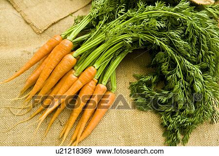 Stock Photo - Carrots. Fotosearch