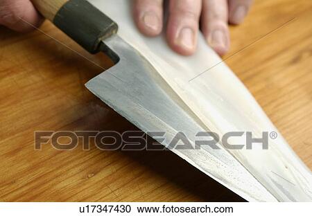 Chef cutting squid, close up View Large Photo Image Stock Image - Chef cutting squid, close up. Fotosearch