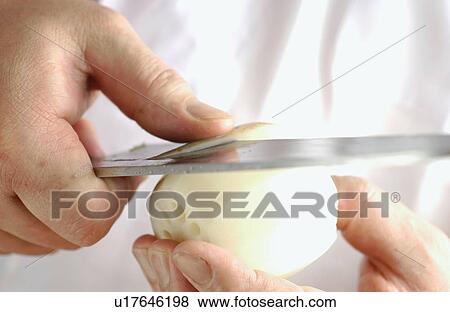 Stock Photo - Chef peeling lotus root, close up. Fotosearch