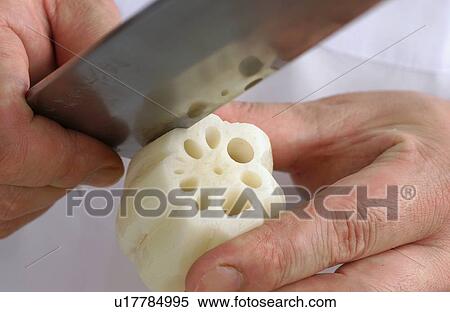 Stock Photography - Chef peeling lotus root, close up. Fotosearch