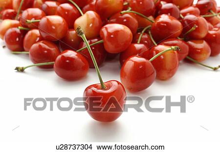Picture - Cherries on white background. Fotosearch