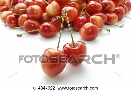 Stock Image - Cherries on white background. Fotosearch