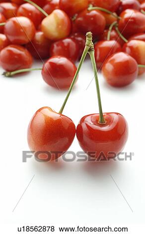 Stock Photo - Cherries on white background. Fotosearch