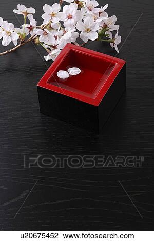 Cherry blossoms and sake View Large Photo Image Stock Image - Cherry blossoms and sake. Fotosearch