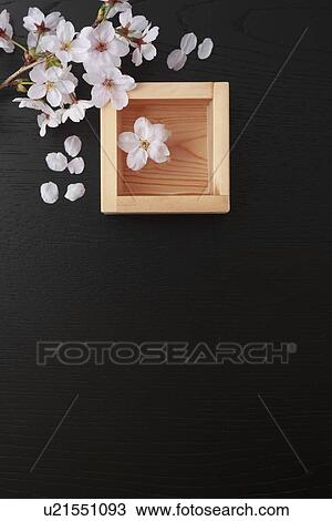 Stock Image - Cherry blossoms and sake. Fotosearch