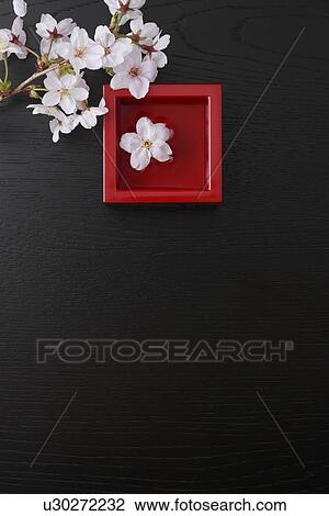 Cherry blossoms and sake View Large Photo Image Stock Image - Cherry blossoms and sake. Fotosearch
