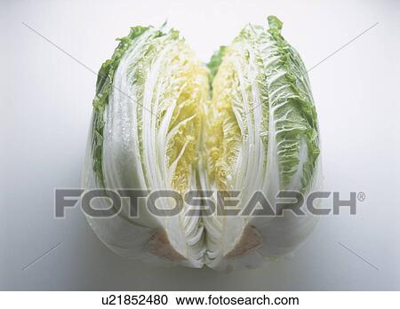 Chinese cabbage View Large Photo Image Stock Image - Chinese cabbage. Fotosearch