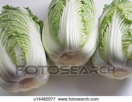Chinese cabbage View Large Photo Image Stock Photo - Chinese cabbage. Fotosearch