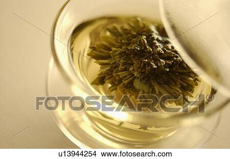 Picture - Chinese green tea. Fotosearch