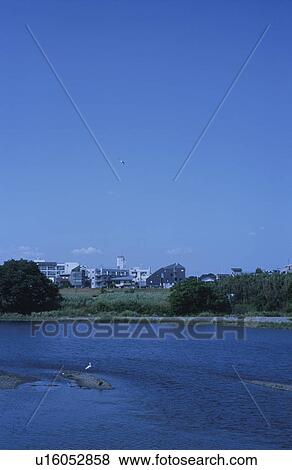 Cityscape with Tamagawa river, Tokyo Prefecture, Honshu, Japan View Large Photo Image Stock Photo - Cityscape with Tamagawa river, Tokyo Prefecture, Honshu, Japan. Fotosearch