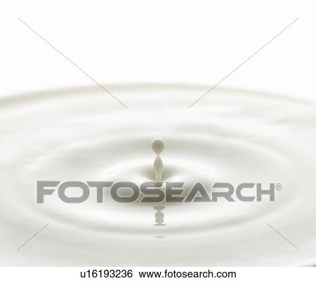 Close Up Image of Milk Drop View Large Photo Image Stock Photograph - Close Up Image of Milk Drop. Fotosearch