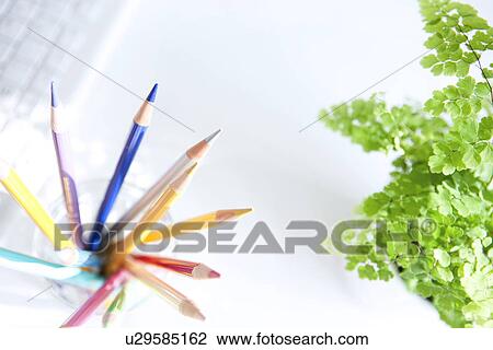Stock Image - Colored pencils and potted plant on desk in office, white background. Fotosearch