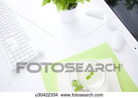 Picture - Computer and cup of herb tea on desk in office, white background. Fotosearch