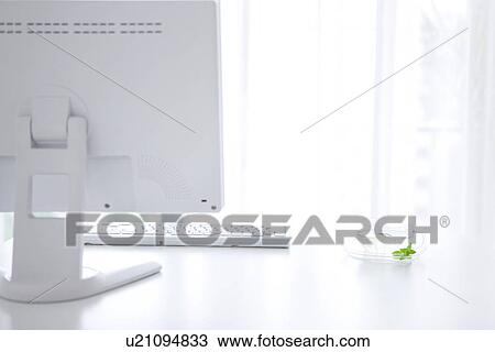 Stock Image - Computer and cup of herb tea on desk in office. Fotosearch