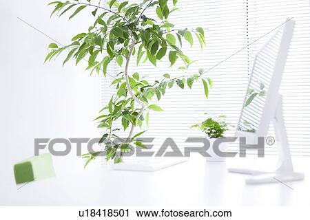 Computer and potted plants in office View Large Photo Image Stock Image - Computer and potted plants in office. Fotosearch