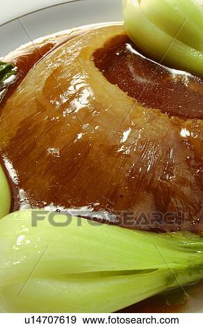 Cooked shark's fin, close up View Large Photo Image Stock Photo - Cooked shark's fin, close up. Fotosearch