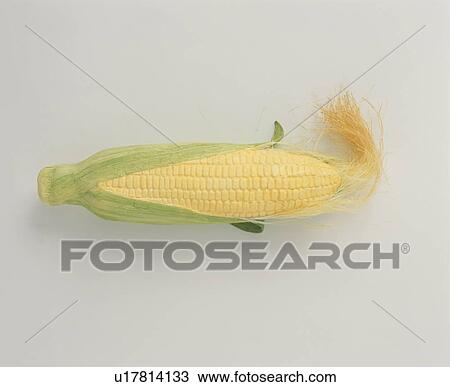 Stock Image - Corn on the cob. Fotosearch