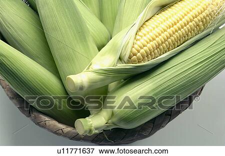 Stock Photo - Corns in basket, close up, white background. Fotosearch