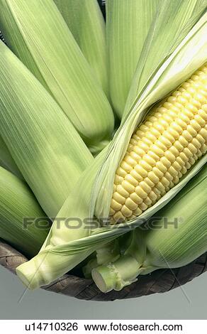 Corns in basket, close up, white background View Large Photo Image Stock Photograph - Corns in basket, close up, white background. Fotosearch