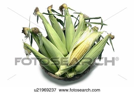Corns in basket, white background View Large Photo Image Stock Photo - Corns in basket, white background. Fotosearch