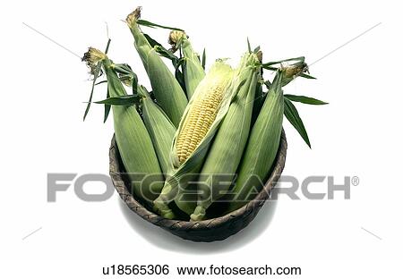 Corns in basket, white background View Large Photo Image Stock Photograph - Corns in basket, white background. Fotosearch