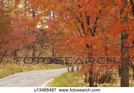 Curved road in autumn View Large Photo Image Stock Photo - Curved road in autumn. Fotosearch