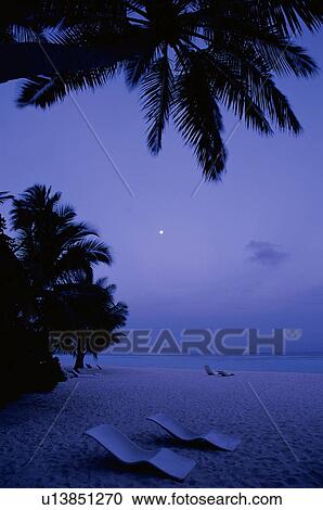 Deck chairs on beach at dusk, Maldives View Large Photo Image Stock Image - Deck chairs on beach at dusk, Maldives. Fotosearch