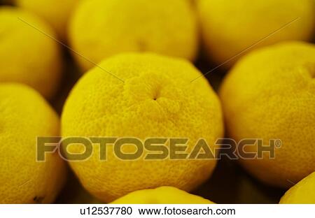 Dekopon View Large Photo Image Stock Image - Dekopon. Fotosearch