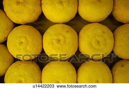 Stock Image - Dekopon. Fotosearch