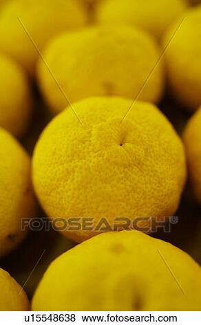 Stock Photo - Dekopon. Fotosearch