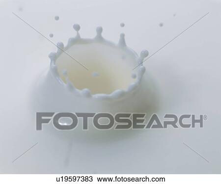 Drop of milk splashing View Large Photo Image Stock Image - Drop of milk splashing. Fotosearch