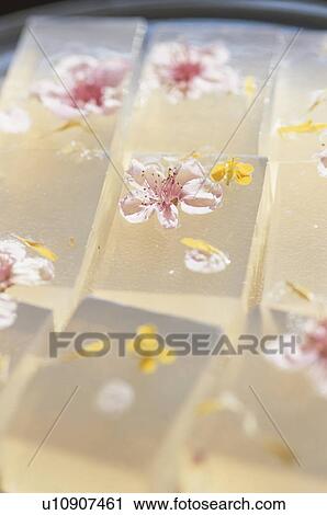 Stock Image - Flower in Japan Jelly. Fotosearch