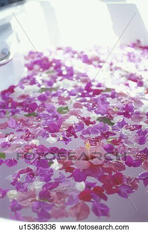 Stock Photograph - Flower petals floating on water. Fotosearch