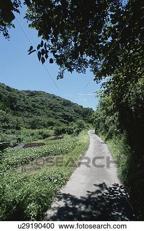 Footpath and the Country View View Large Photo Image Stock Image - Footpath and the Country View. Fotosearch