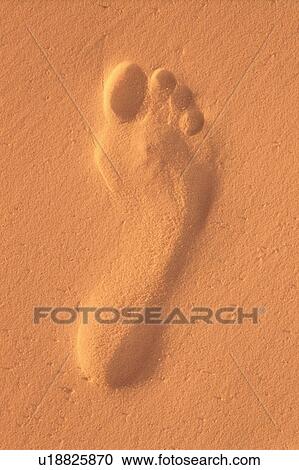 Stock Image - Footprint on sand. Fotosearch
