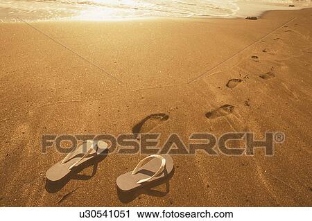 Footprints and Beach Shoe on Beach View Large Photo Image Stock Image - Footprints and Beach Shoe on Beach. Fotosearch