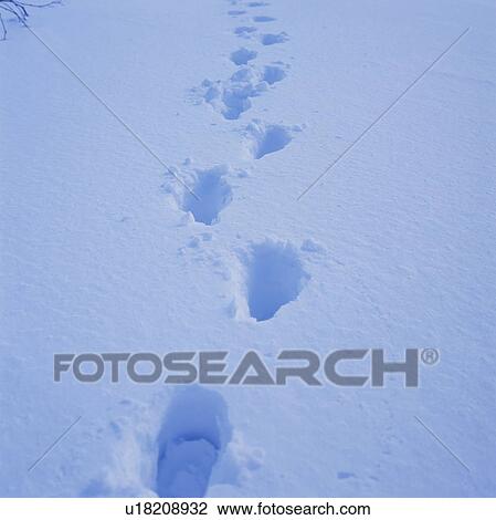 Stock Image - Footprints in snow. Fotosearch