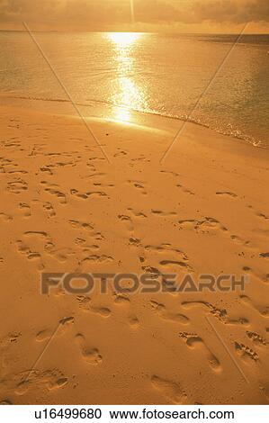 Footprints on Beach View Large Photo Image Stock Image - Footprints on Beach. Fotosearch