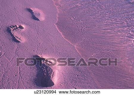 Footprints on sand, Maldives View Large Photo Image Picture - Footprints on sand, Maldives. Fotosearch