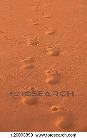 Footprints on sand View Large Photo Image Stock Photo - Footprints on sand. Fotosearch