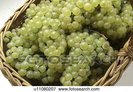Grapes in Basket View Large Photo Image Stock Photo - Grapes in Basket. Fotosearch