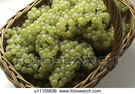 Grapes in Basket View Large Photo Image Stock Photograph - Grapes in Basket. Fotosearch