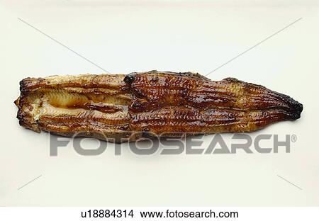 Grilled eel, white background View Large Photo Image Picture - Grilled eel, white background. Fotosearch