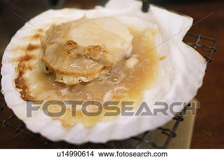 Grilled scallop View Large Photo Image Picture - Grilled scallop. Fotosearch