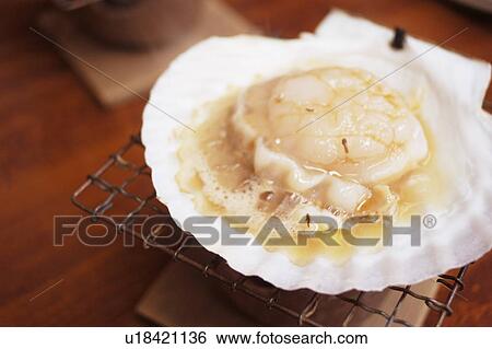 Stock Photograph - Grilled scallop. Fotosearch