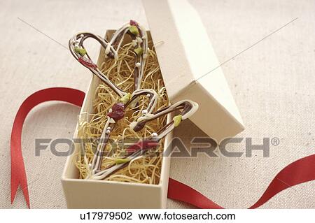 Stock Image - Heart Shaped Chocolate In Box. Fotosearch