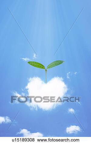 Stock Photo - Heart shaped cloud with seedling, computer graphic. Fotosearch