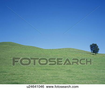 Stock Photograph - Hill and clear sky. Fotosearch