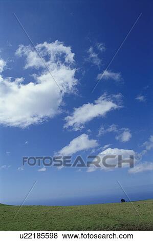 Hill and sky, Hawaii Islands, USA View Large Photo Image Stock Photo - Hill and sky, Hawaii Islands, USA. Fotosearch