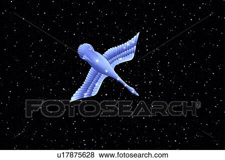 Image of Astrology sign, Cygnus, black background View Large Photo Image Stock Photo - Image of Astrology sign, Cygnus, black background. Fotosearch